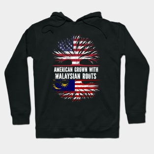 American Grown with Malaysian Roots USA Flag Hoodie